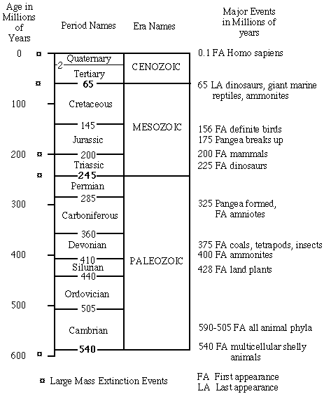 Phanerozoic Time Scale Image