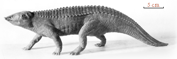 Aetosaurian