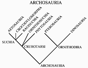 archosauria cladogram