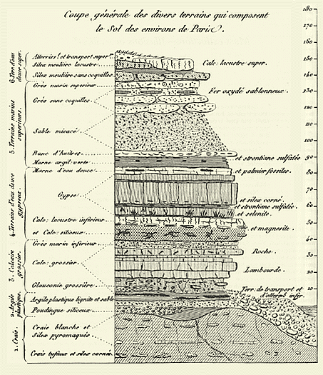 Measured section of the upper part of the Paris Basin sequence