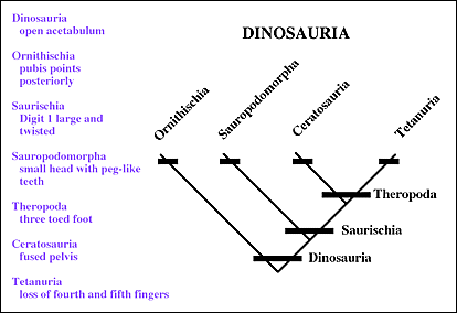 Cladogram with dinosaurs and theropods