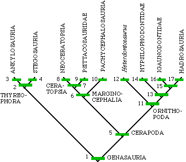 Cladogram of the Genasauria