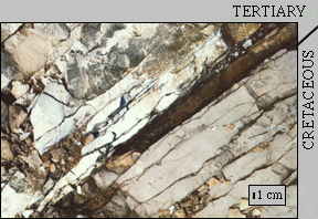 K-T boundary, Gubbio, Italy