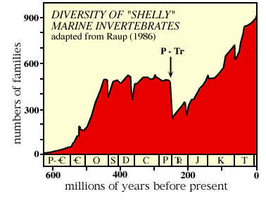 Phanerozoic Diversity of Life