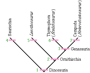Basic Ornithischian Cladogram
