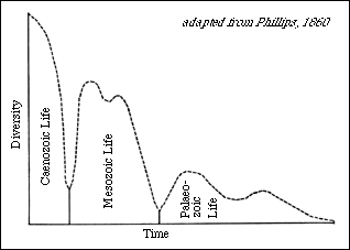 Extinction Timeline Chart