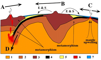 Rifting and Subduction