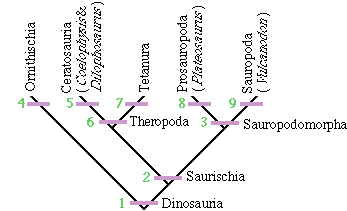 Saurischian Cladogram