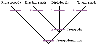Sauropod Cladogram