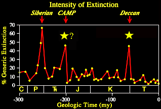 graph of extinctions from Sepkoski