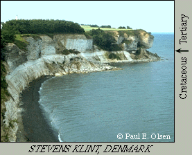 STEVEN KLINT, DENMARK