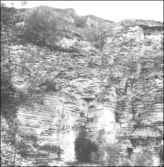 Outcrop at Solohofen