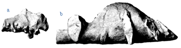 Endocast and natural cast of the sacral enlargement of Kentrosaurus aethiopicus