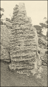 Morrison termite mound