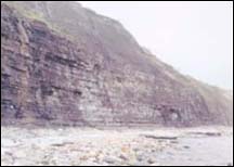Cliffs of Liassic Limestone west of the Cobb in Lyme Regis